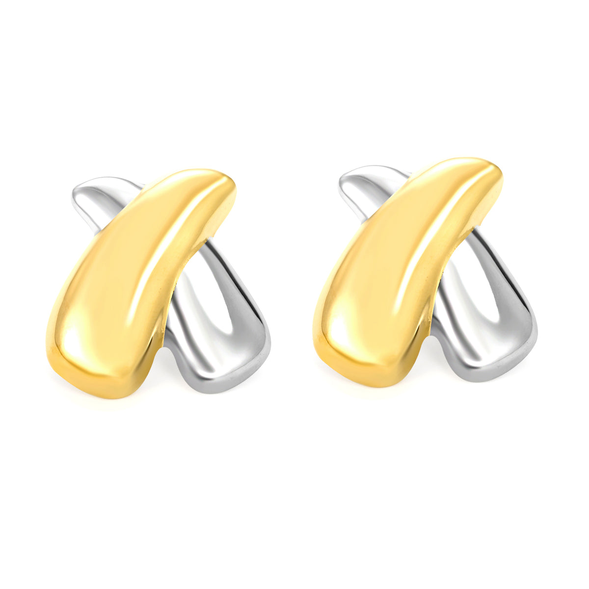 Aretes X Bicolor